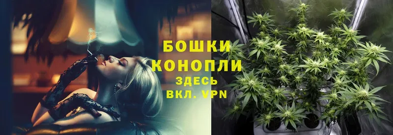 где купить наркоту  Мосальск  shop как зайти  Марихуана THC 21% 